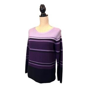 Northern Reflections Jewel Tone Stripped Slightly Relaxed Fit Sweater in Purples
